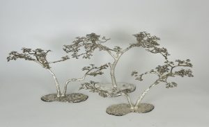 Acacia trees